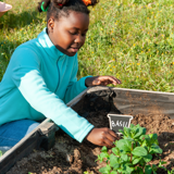 Young girl gardening